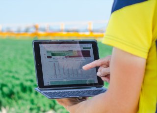 'Samen verantwoordelijk voor beheersing aardappelziekte'