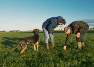 'Gezonde koeien zijn voor ons het belangrijkste uitgangspunt'
