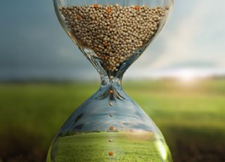 Meer grip op stikstof, minder verliezen voor akkerbouwers én melkveehouders