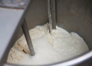 Kennis, begeleiding en kwaliteit op het juiste moment: de basis voor sterke kalveren