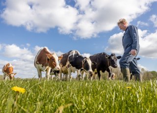 Hoe haal je meer rendement uit gras? De aanpak van Jennissen