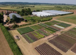 Een hectare met grote impact: hoe een voedseltuin het erf van Barton Arnts versterkt