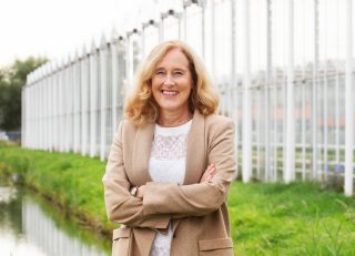 De glastuinbouwsector op weg naar 2040