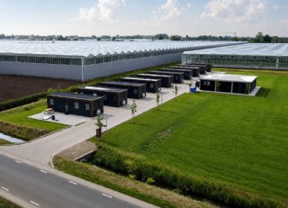 Goede huisvesting draagt bij aan chrysanten van hoge kwaliteit