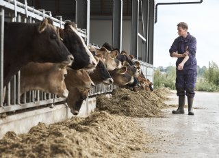 WTTA: wat betekent de nieuwe wet voor agrarische ondernemers die werken met uitzendkrachten?