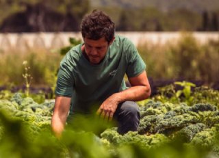 Future Harvest: nieuw Europees programma stimuleert de nieuwe generatie boeren in Nederland