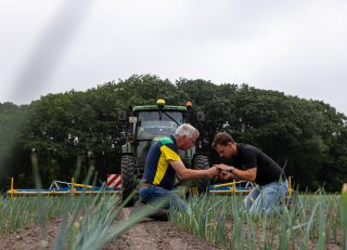 ‘In de bestrijding van trips hangt alles met elkaar samen’