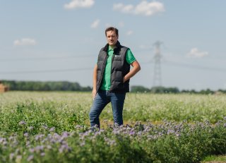 Stel je hoofdteelt centraal bij de keuze voor je groenbemester