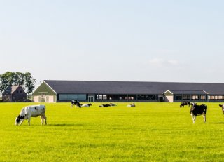 Wat bepaalt de haalbaarheid van een bedrijfsverplaatsing?