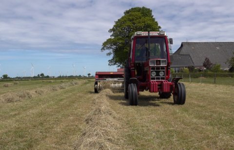 POAH! International 585XL