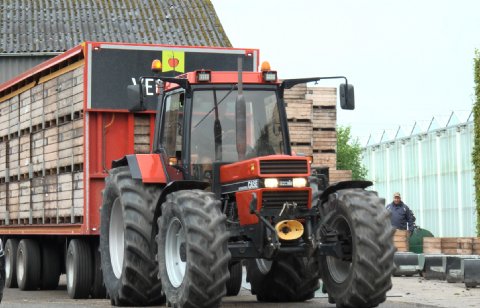 POAH! Case 1056 XL