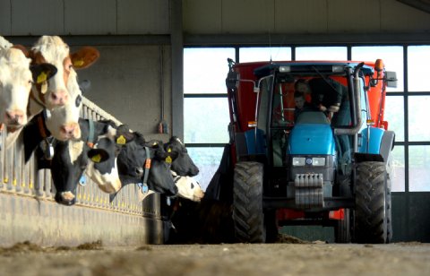 POAH! New Holland TL 80