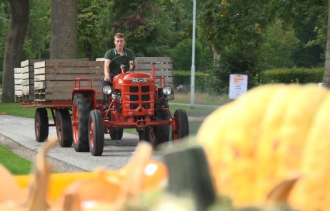POAH!: Fahr D90 & Fahr D15