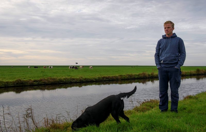 Melkveehouder Gerard Cupido uit Terschelling verwacht de ganzenschade op zijn 80 hectare in de polder met de helft te reduceren.