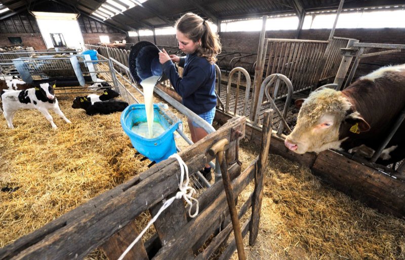 Biologisch-dynamisch melkveehouder Welmoed Deinum uit Sondel is tot meest duurzame boer van de provincie Friesland uitgeroepen.