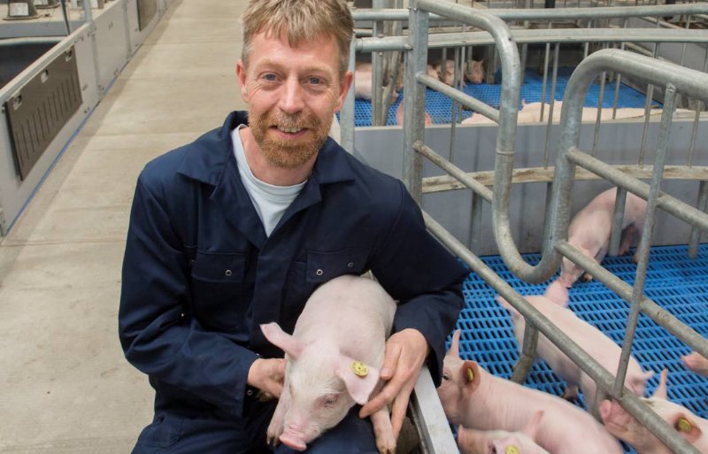 Bedrijfsleider Arnold Groot Wassink van de Pig Farm in Voorthuizen noemt een warm en veilig nest voor de biggen belangrijk.