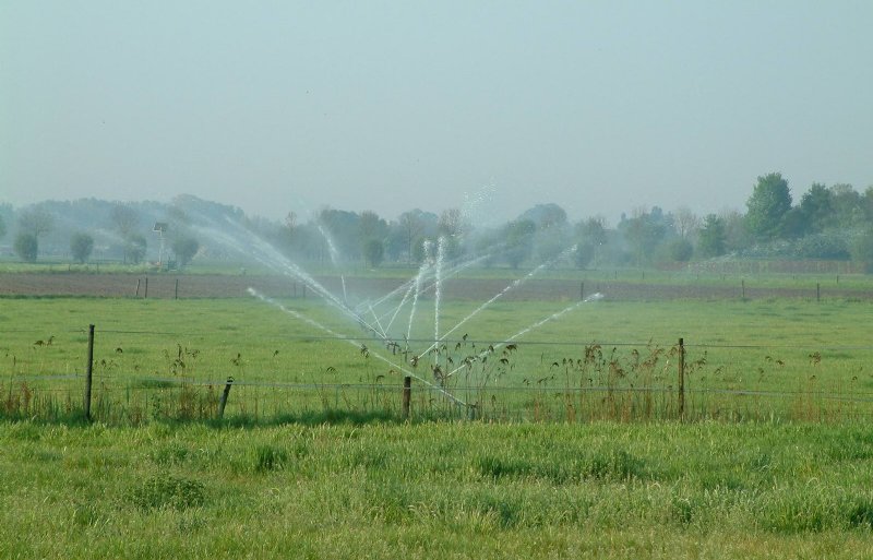 Een verbod op grondwateronttrekking in De Peel is deze zomer serieus besproken.
