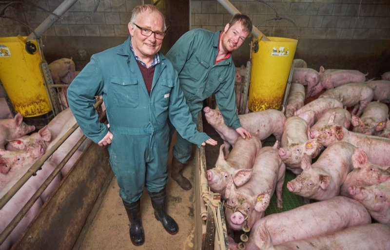 Het hart van Willy en Ivo Bekkers ligt bij het marktgericht produceren van vleesvarkens.