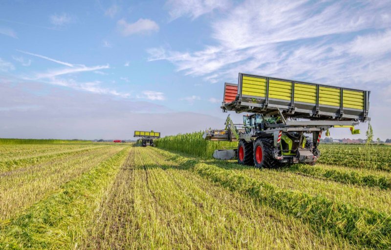 André Hoogendijk verwacht dat akkerbouwers meer biobased gewassen, zoals vezelhennep, gaan telen.