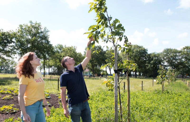 Oude melkstal in Westerhoven is nu hart van