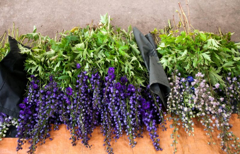 Snijbloemenoogst vindt van mei tot september plaats.
