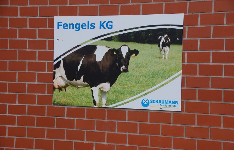 Fengels levert aan FrieslandCampina voor het premiummerk Landliebe.
