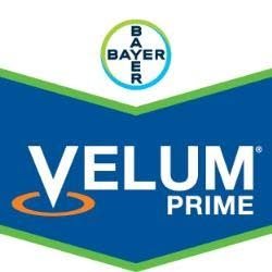 Logo Velum Prime