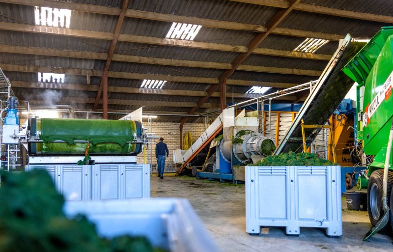 In de proeffabriek in Afferden wordt vers gras verwerkt tot hoogwaardige producten.