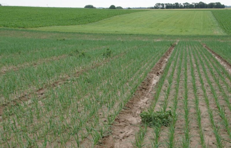 In de Limburgse heuvels is ploegen verboden om erosie te voorkomen.