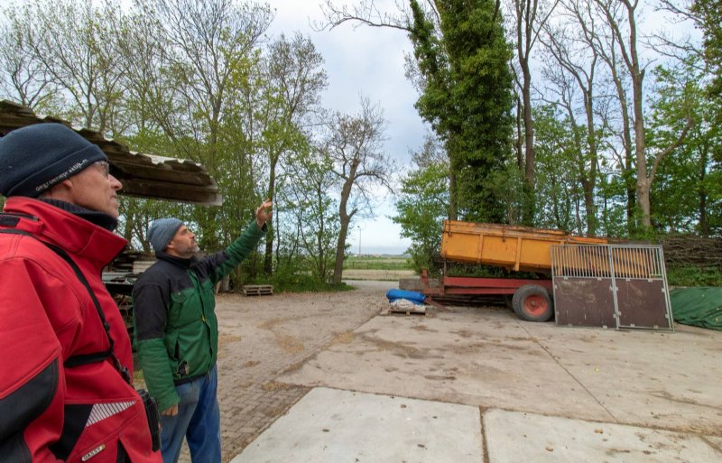 Vrijwilligers van Landschapsbeheer Flevoland inventariseren de bruine kiekendief in Oostelijk en Zuidelijk Flevoland, onder wie akkerbouwer Robert Timmerman (rechts) uit Biddinghuizen.