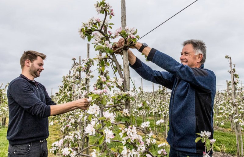 Erik en Kees Snoeck van Fruitbedrijf Snoeck in Schellinkhout