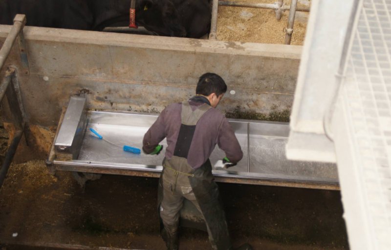 Daily cleaning of the water troughs.