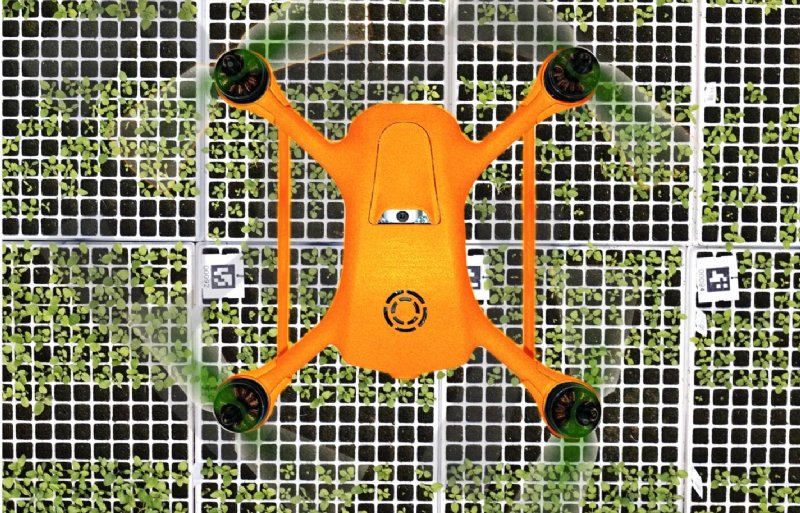 In rondes van twintig minuten brengt de drone zonder piloot alle planten in beeld.