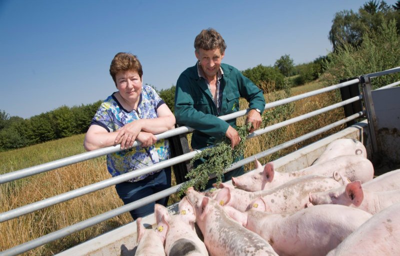 Louise and Martin Ottenschot, organic pig farmers in Ambt Delden