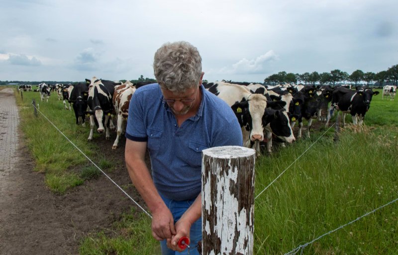 Veehouder Cees Pieter van Burgsteden in Oosterwolde melkt 150 koeien.