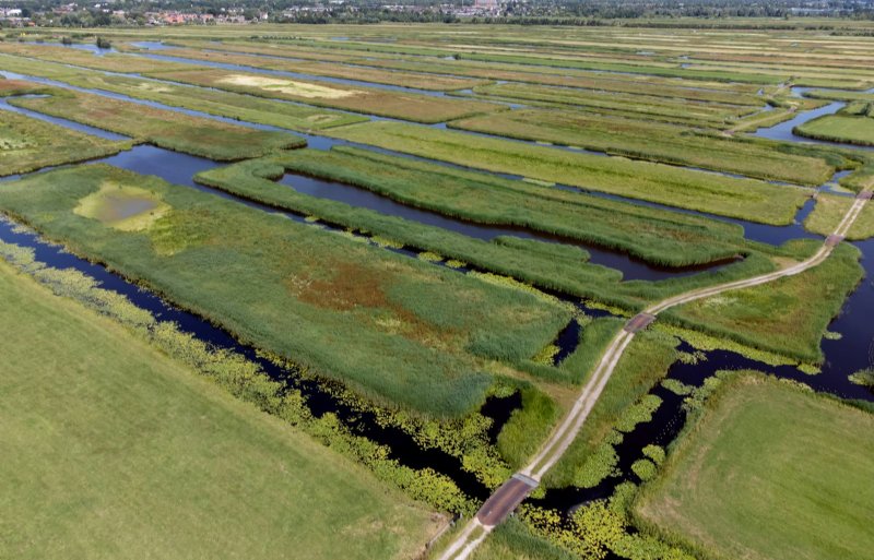 De Demmerikse polder is een wirwar aan slootjes en land, die de plaatselijke boeren graag zelf willen onderhouden.
