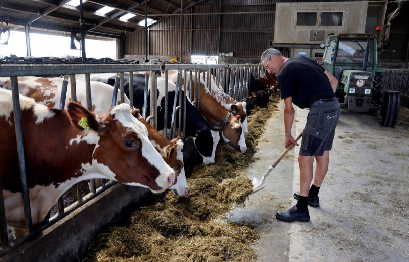 Arjan Berg melkt 65 koeien.
