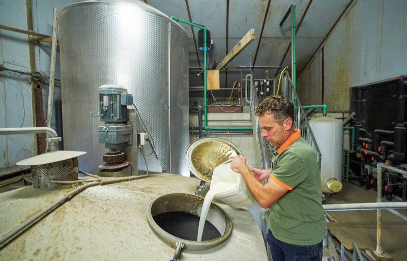 Erik Geene voegt de melkzuurbacteriën toe aan het graanmengsel. Het fermenteren kan beginnen.