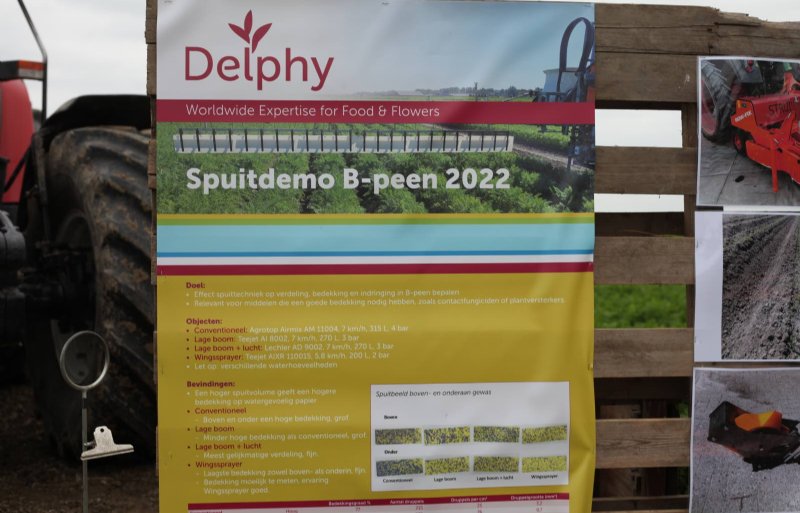 De spuitdemo B-peen van Delphy ligt op een van de percelen van Aeres Farms in het Flevolandse Dronten.