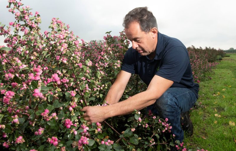 John Veldkamp: ‘We zetten breed in op biobestrijding.’
