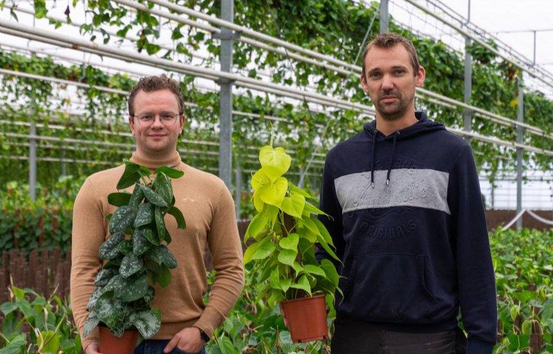 Mikel Olierook en Bart Janssen verwachten dat Kratiste over drie jaar gemeengoed is in de tuinbouw.
