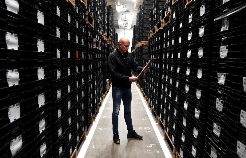 Commercieel manager Hans Glorie van Van Zanten Flowerbulbs controleert in een koelcel de lelies die klaarstaan voor export.