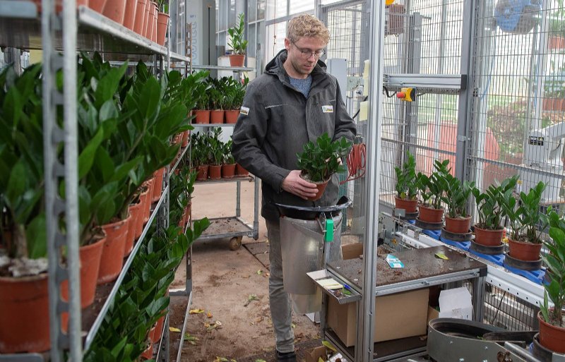 Tom van Winden: 'We boeken vooruitgang in de kwaliteit van onze planten.'