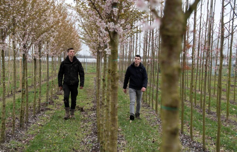 Jacco en Luc de Jong denken actief mee over de toekomst van de kwekerij. Zo hopen zij uiteindelijk eigen plantgoed te gaan kweken.