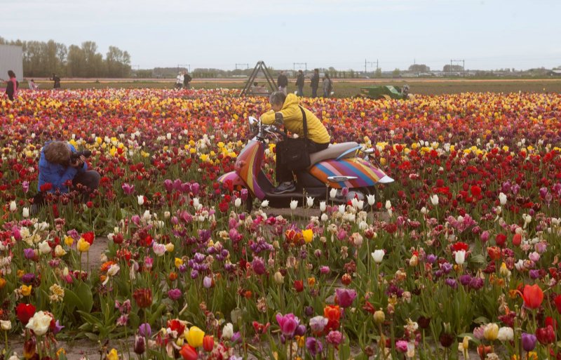 Bezoekers maken foto’s met objecten tussen de tulpen.
