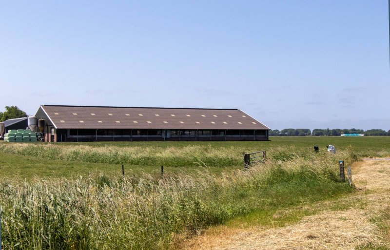 De ligboxenstal van melkveehouder Kor Kruizenga in Rasquert is in 2009 neergezet.