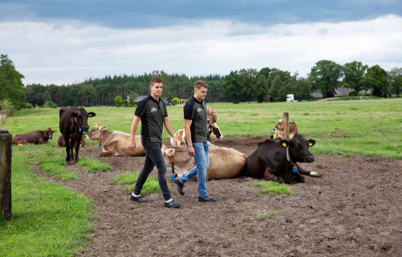 De melk die door ZuivelBroeders wordt verwerkt komt van het vee van de familie Keuper.