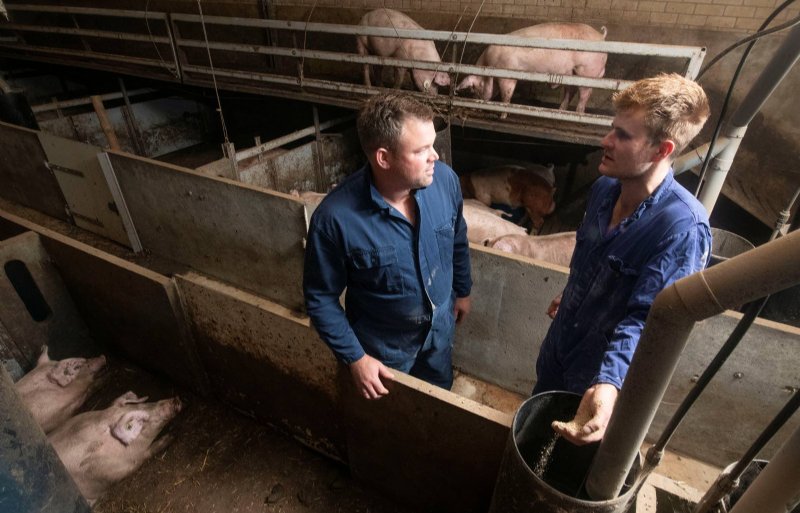 Varkenshouder Wilco Wijlhuizen (links) gebruikt nieuw structuurrijk voer, op advies van Pieter Bos van P. Bos veevoeders.
