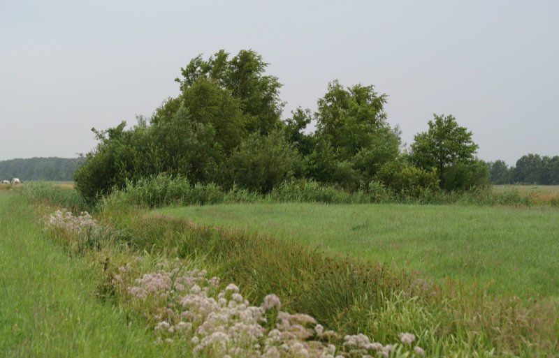 Small orchards, natural banks, flower strips and hedges contribute to the health of plants, animals and humans.