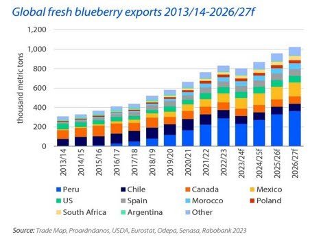 Wereldwijde exportcijfers voor blauwe bessen op een rij gezet door analisten van Rabobank.